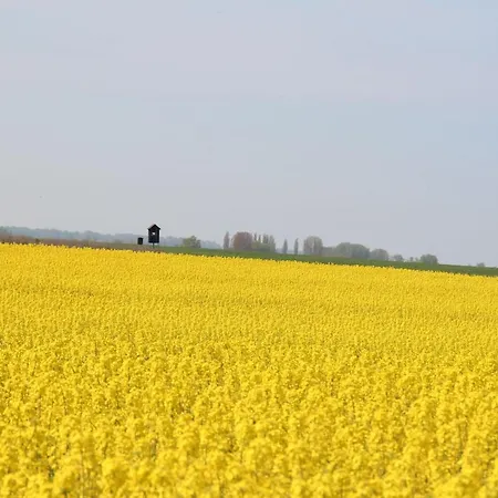 Fewo-waterkant شقة *